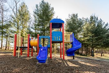 Our playground is located in the middle of the park